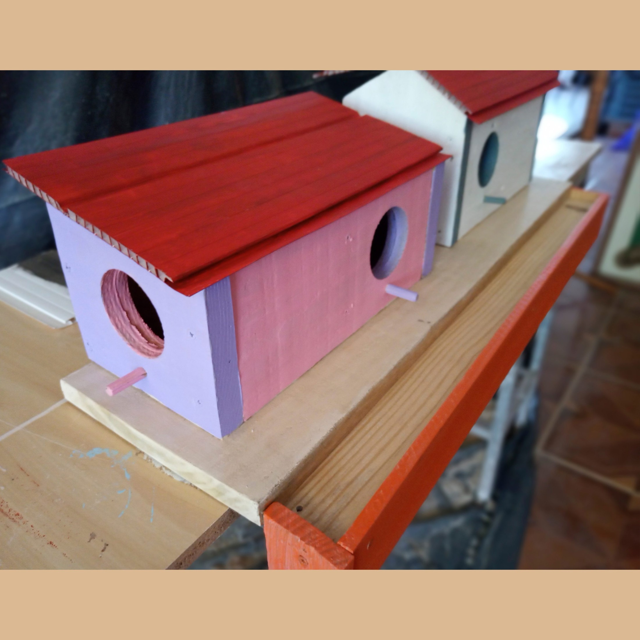 Casa de passarinhos com 4 vagas