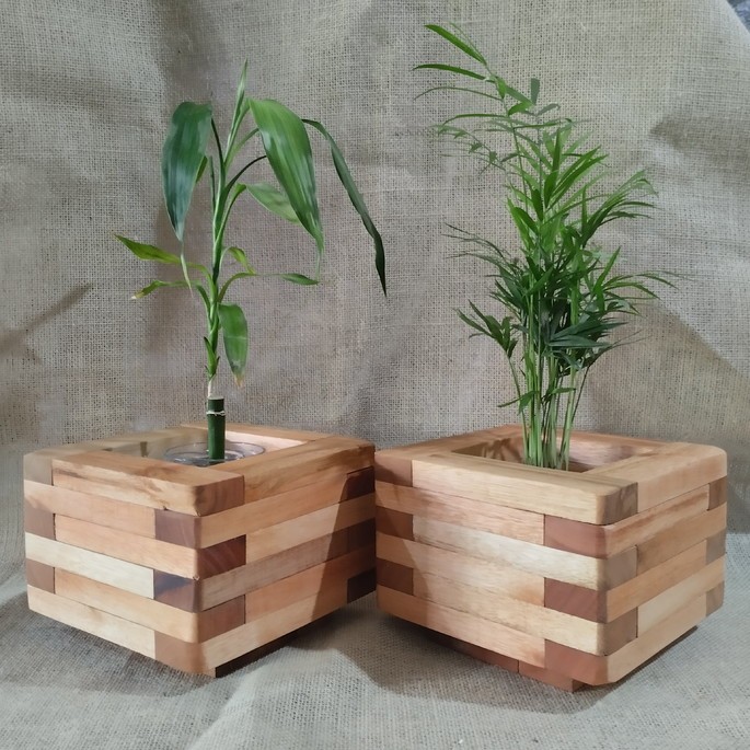 Cachepô em eucalipto