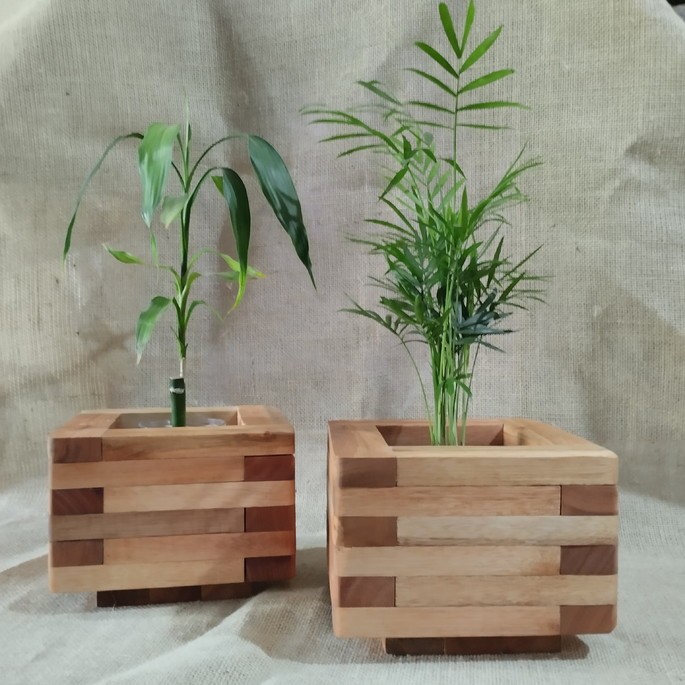 Cachepô em eucalipto